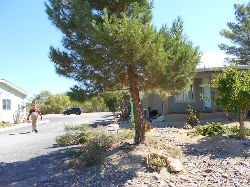 Atomic Inn Beatty Near Death Valley Kültér fotó